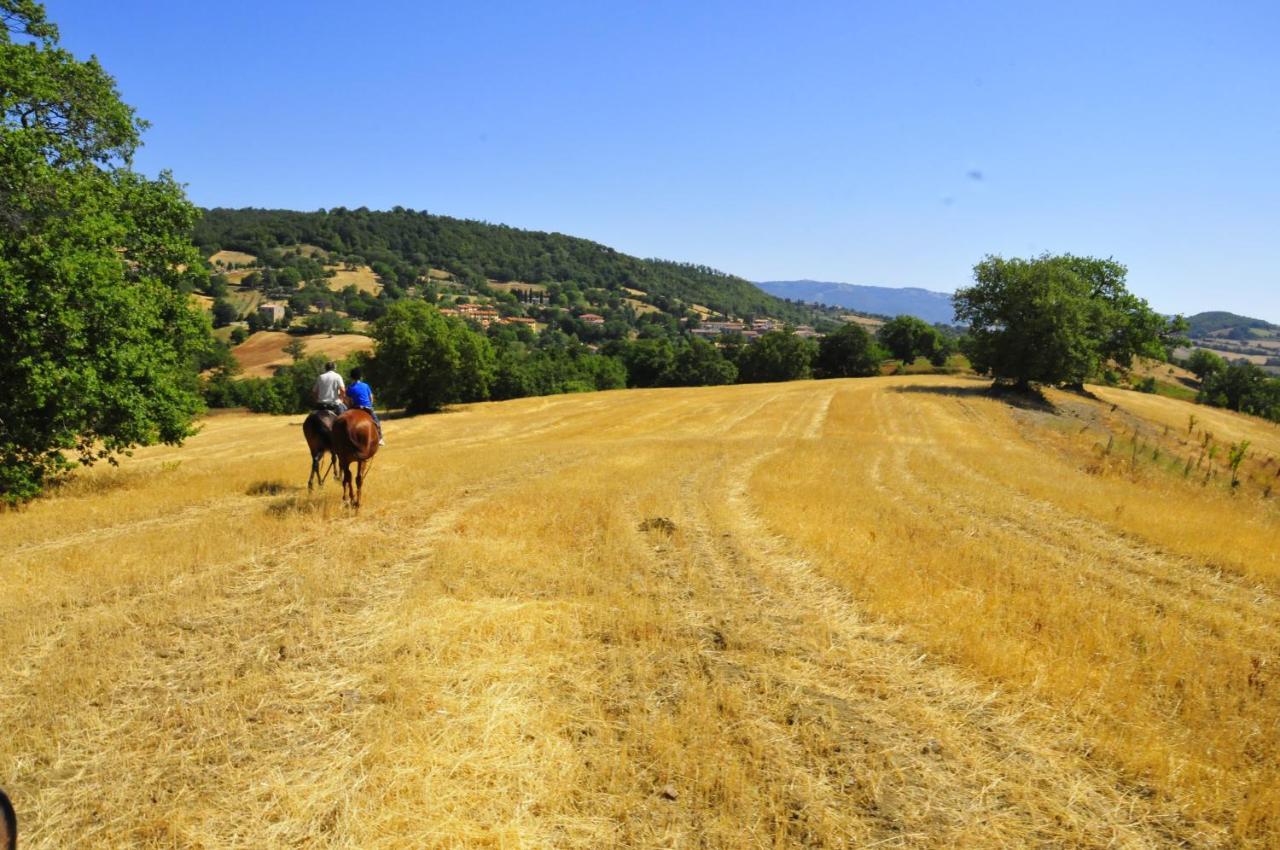 Catabbio Country House Poggio Aione旅馆 外观 照片