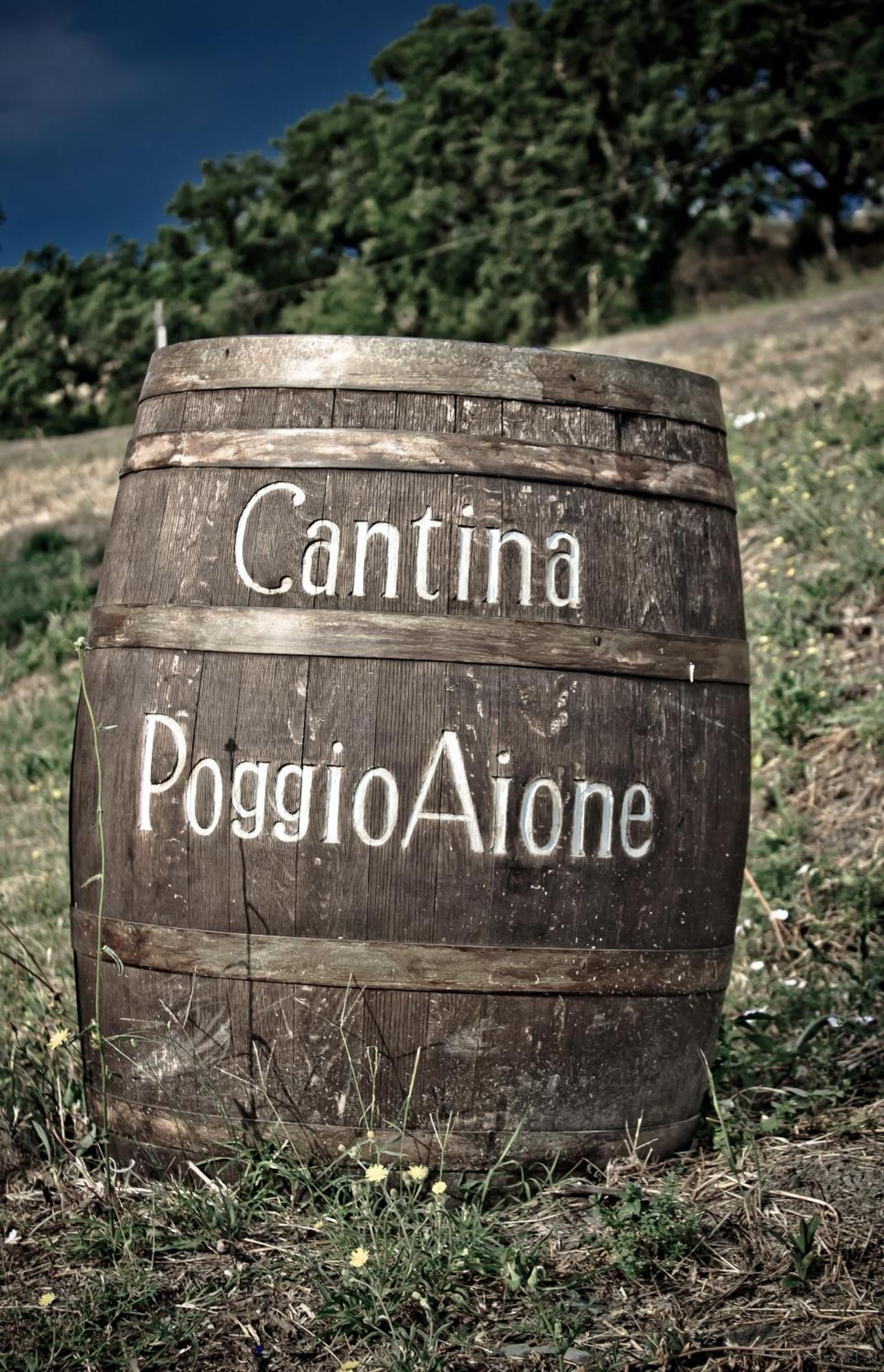 Catabbio Country House Poggio Aione旅馆 外观 照片