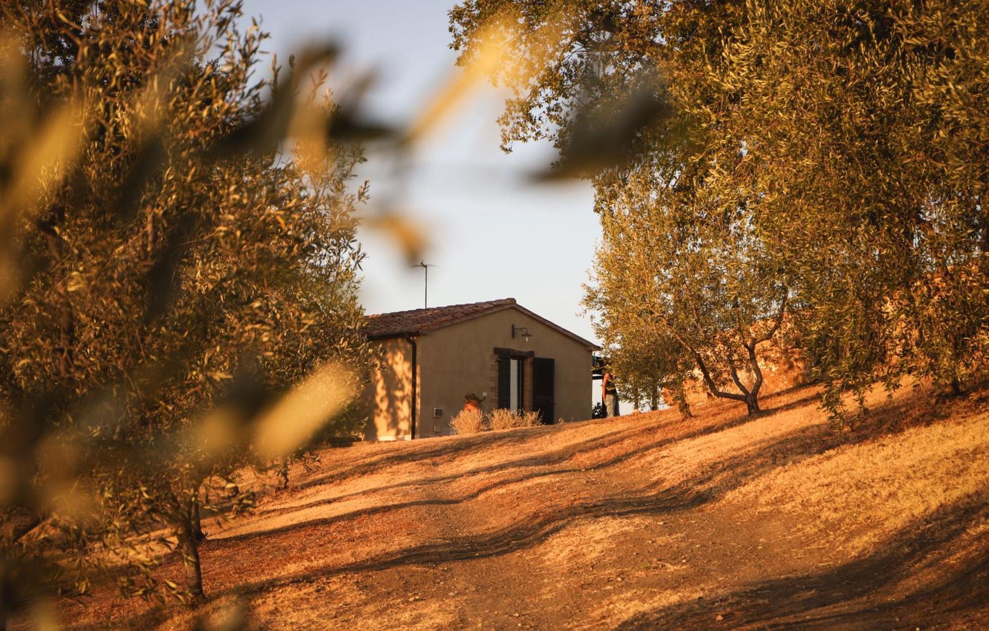 Catabbio Country House Poggio Aione旅馆 外观 照片
